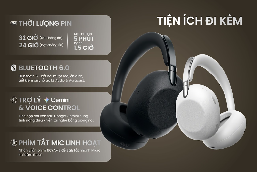 Sony WH 1000X The Collecxion